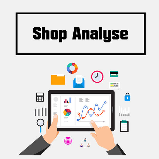 Große Online-Shop Analyse